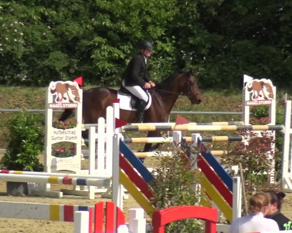Reitturnier Ladenburg 2019