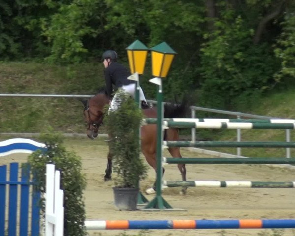 Reitturnier Ladenburg 2019