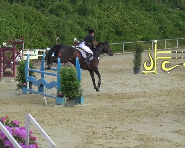 Reitturnier Ladenburg 2019