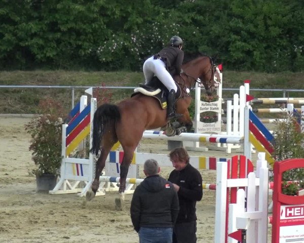 Reitturnier Ladenburg 2019