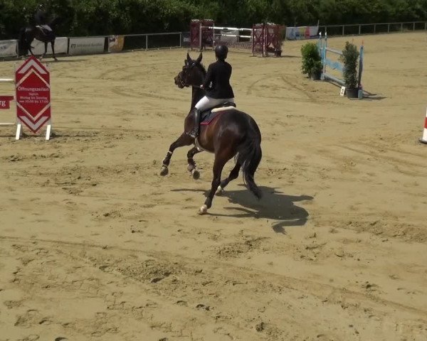 Reitturnier Ladenburg 2019