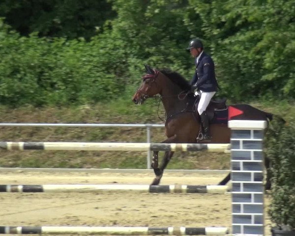 Reitturnier Ladenburg 2019
