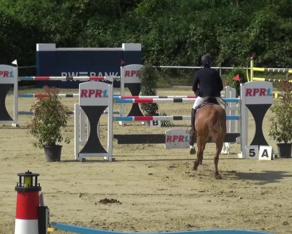 Reitturnier Ladenburg 2019