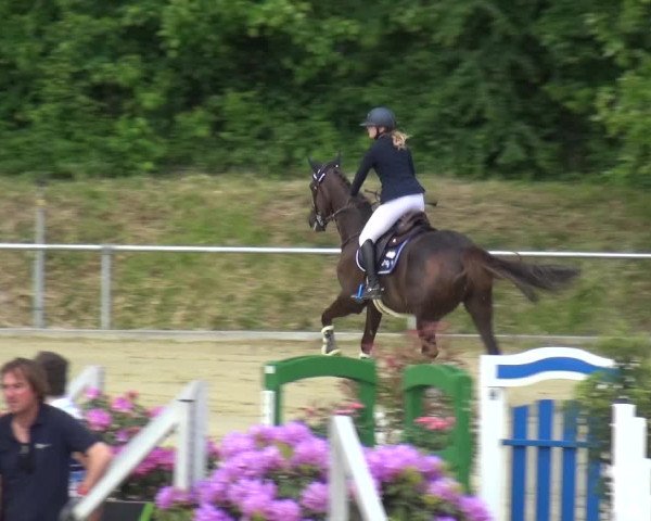 Reitturnier Ladenburg 2019