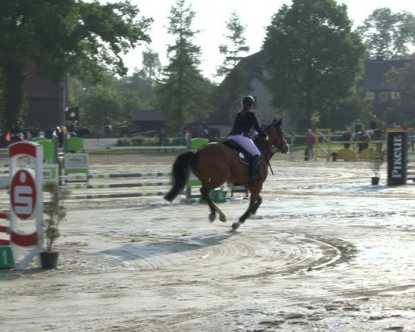 Reitturnier Ostenfelde-Vornholz 2019