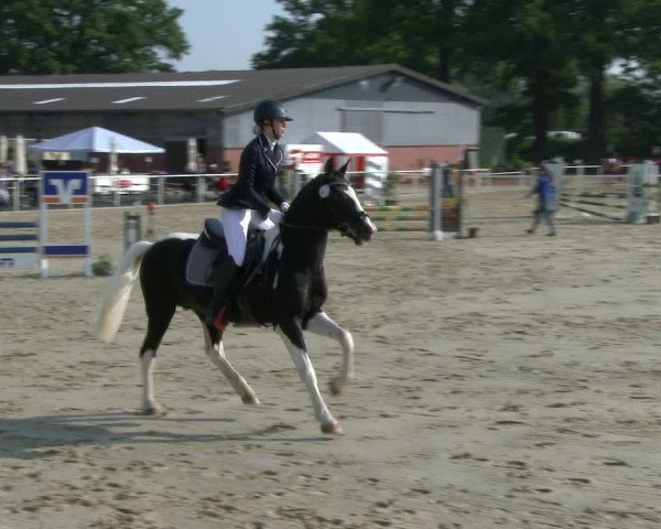 Reitturnier Ostenfelde-Vornholz 2019