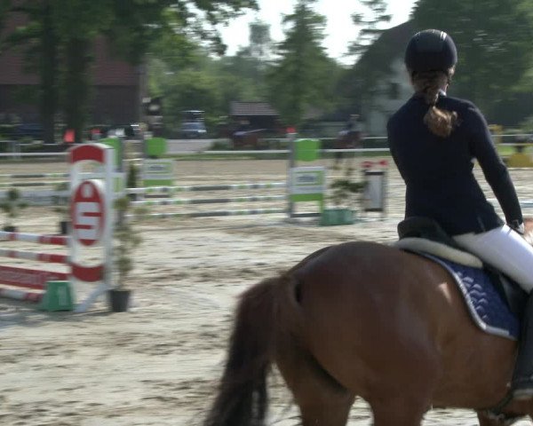 Reitturnier Ostenfelde-Vornholz 2019
