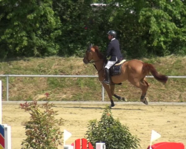 Reitturnier Ladenburg 2019