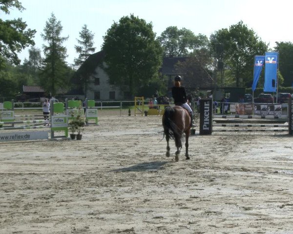 Reitturnier Ostenfelde-Vornholz 2019