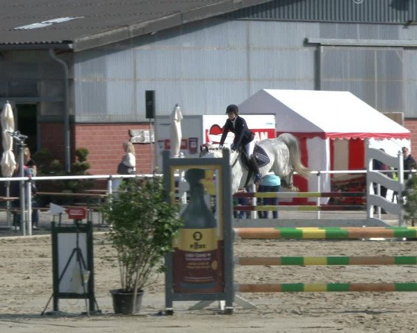 Reitturnier Ostenfelde-Vornholz 2019