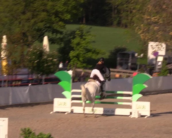 Reitturnier Oberfrauendorf 2019