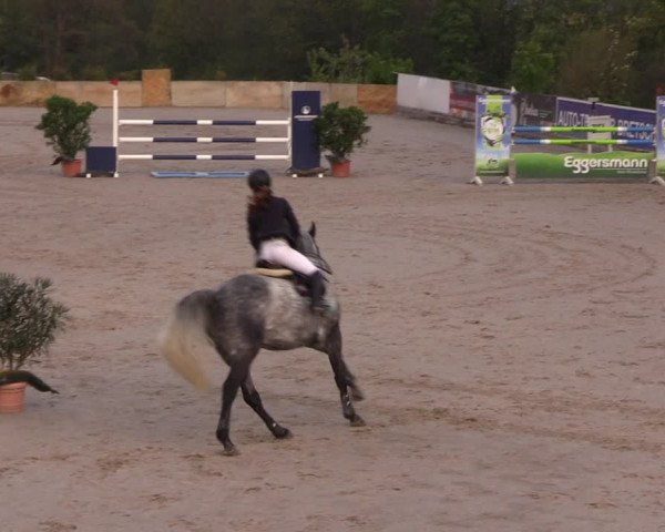 Reitturnier Oberfrauendorf 2019