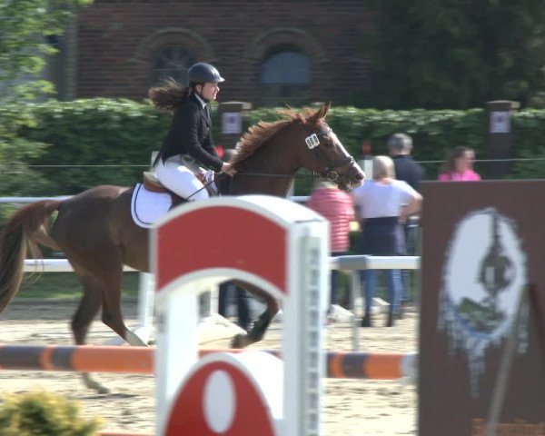 Reitturnier Ostenfelde-Vornholz 2019