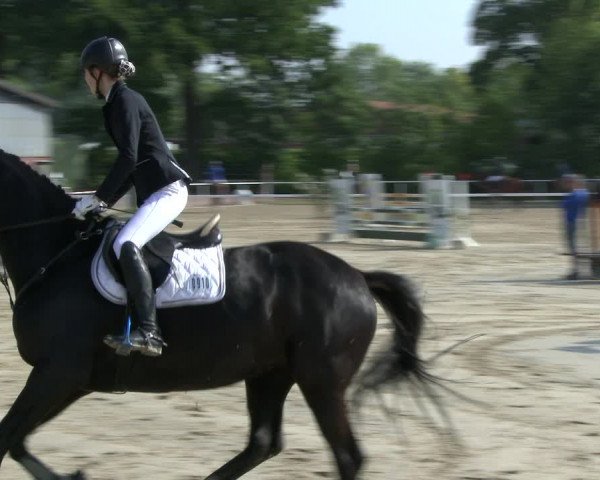 Reitturnier Ostenfelde-Vornholz 2019