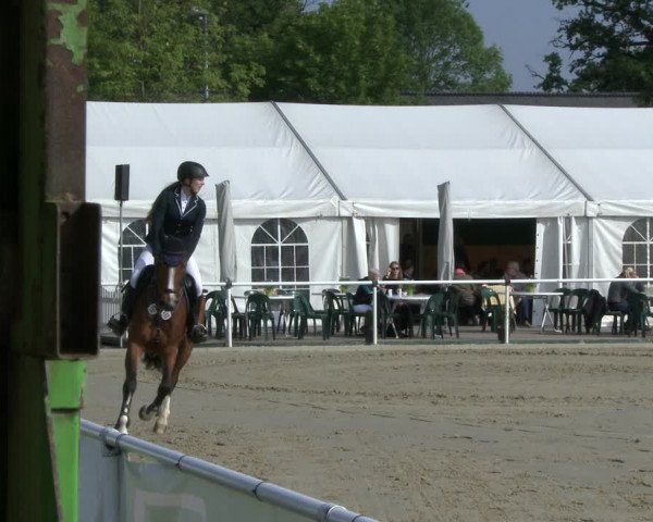 Reitturnier Ostenfelde-Vornholz 2019