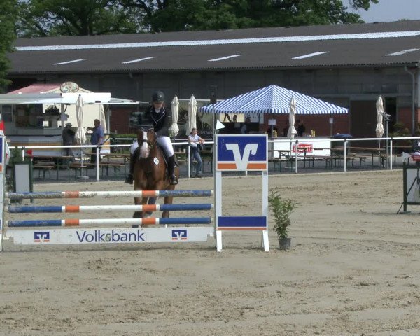 Reitturnier Ostenfelde-Vornholz 2019