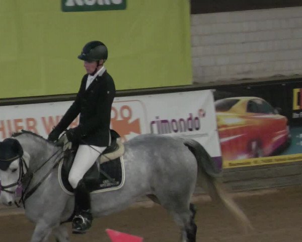Reitturnier Heilbronn 2021
