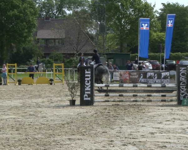 Reitturnier Ostenfelde-Vornholz 2019