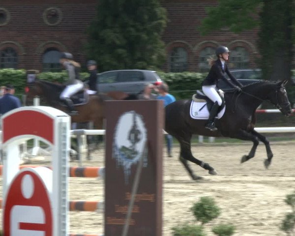 Reitturnier Ostenfelde-Vornholz 2019