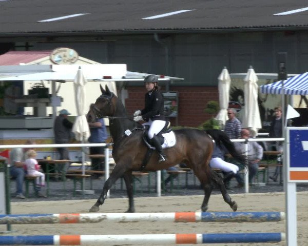 Reitturnier Ostenfelde-Vornholz 2019