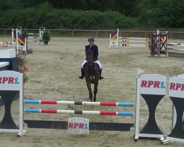 Reitturnier Ladenburg 2019