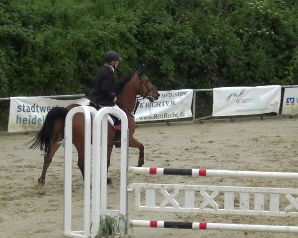 Reitturnier Ladenburg 2019