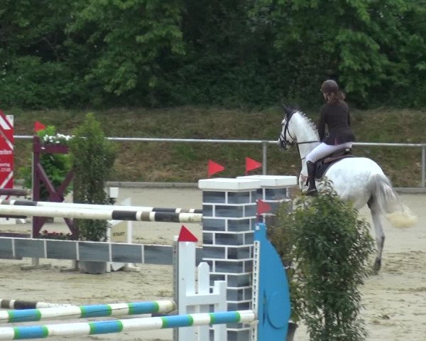 Reitturnier Ladenburg 2019