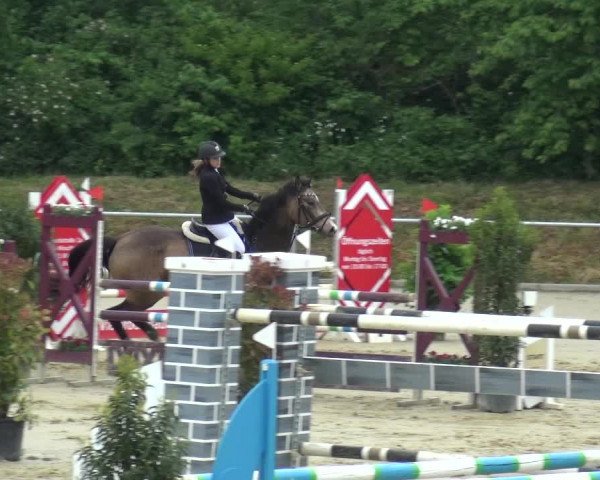 Reitturnier Ladenburg 2019