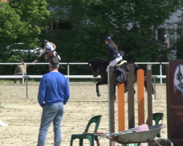 Reitturnier Ostenfelde-Vornholz 2019