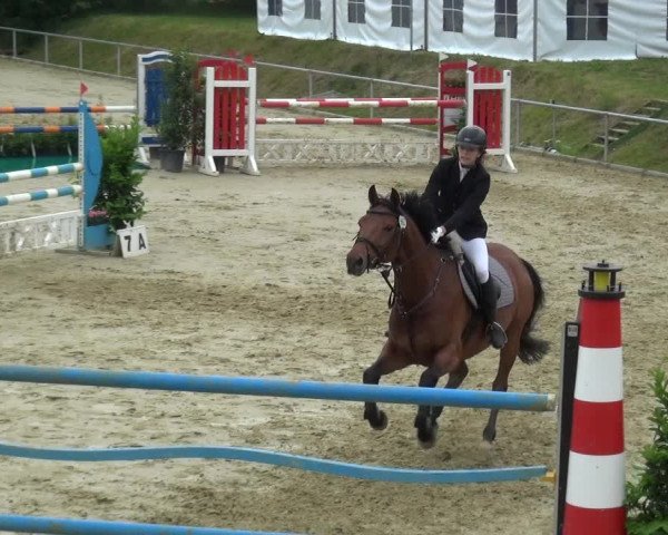Reitturnier Ladenburg 2019