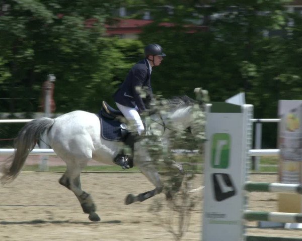 Reitturnier Ostenfelde-Vornholz 2019