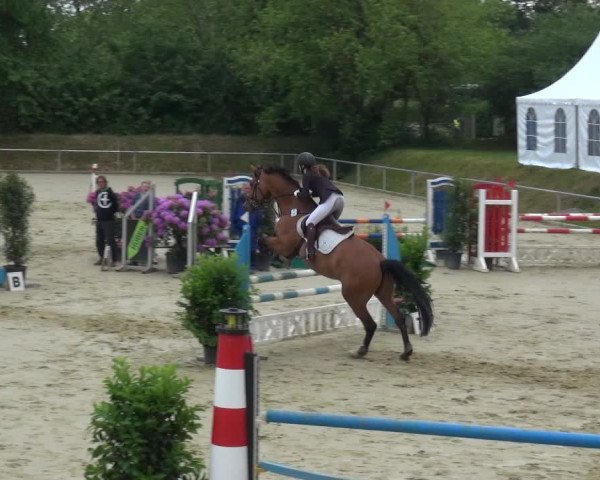 Reitturnier Ladenburg 2019