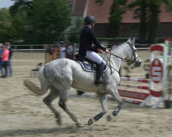 Reitturnier Ostenfelde-Vornholz 2019