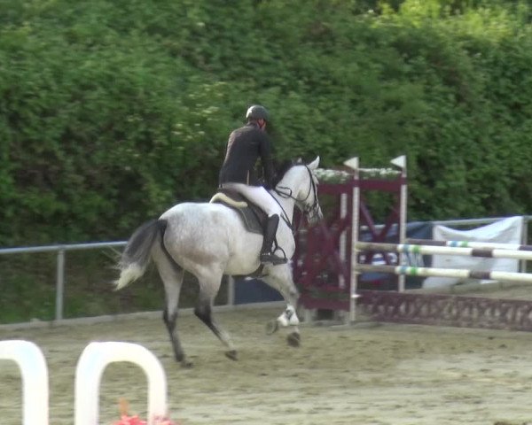 Reitturnier Ladenburg 2019