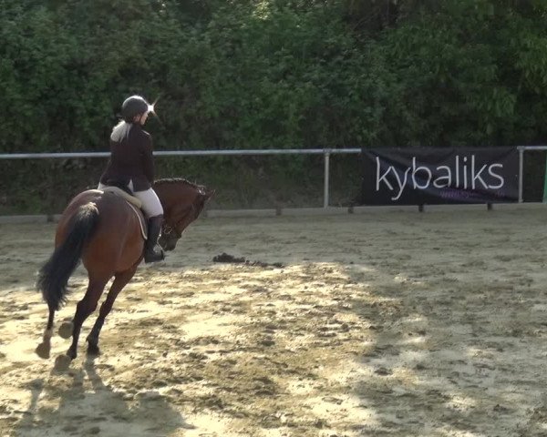 Reitturnier Ladenburg 2019