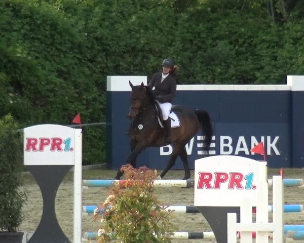 Reitturnier Ladenburg 2019