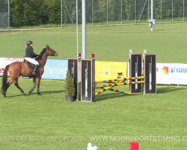 Reitturnier Elgg 2019