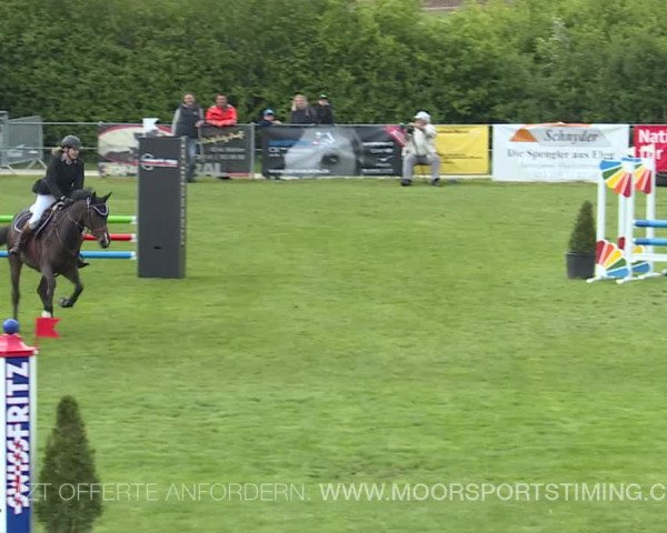 Reitturnier Elgg 2019