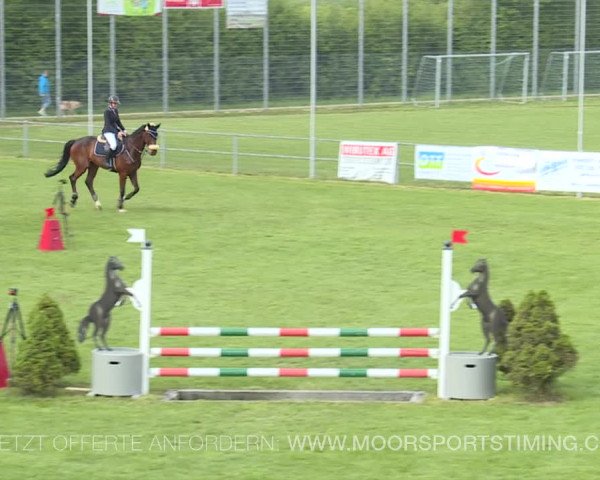Reitturnier Elgg 2019