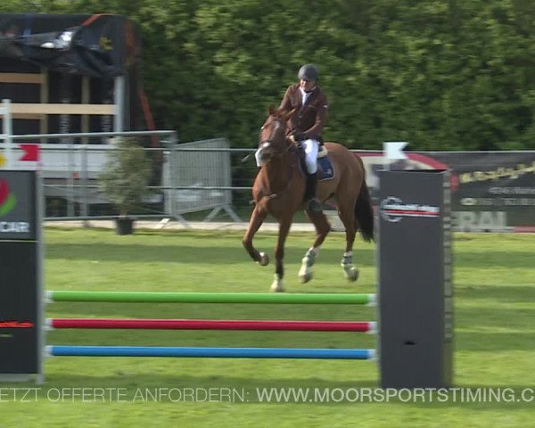 Reitturnier Elgg 2019