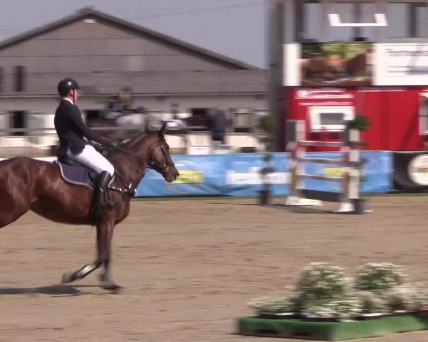 Reitturnier Dortmund-Asseln 2019
