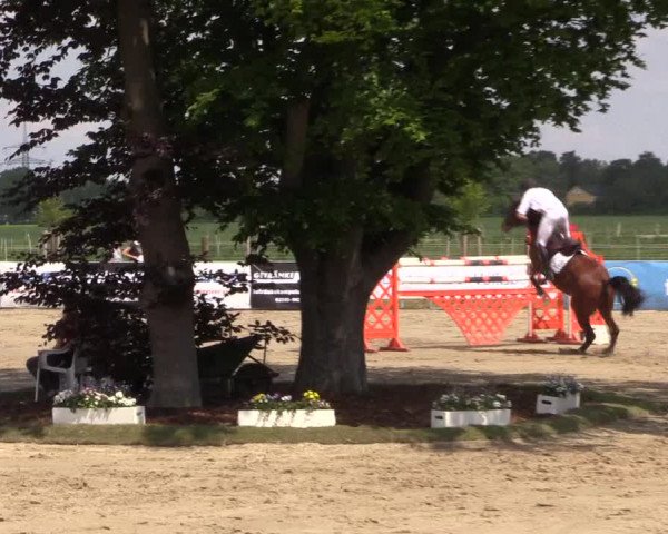 Reitturnier Dortmund-Asseln 2019