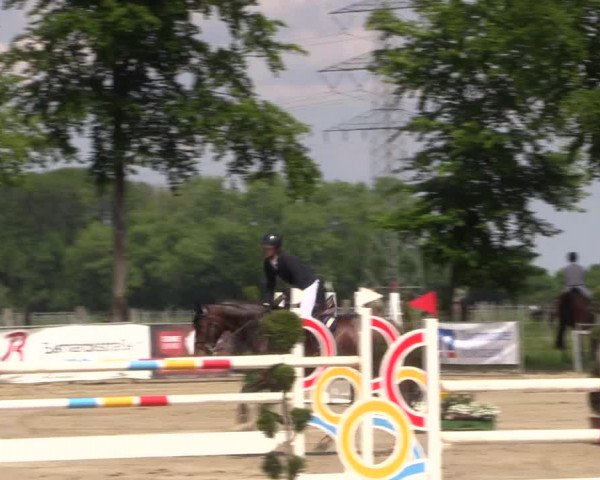 Reitturnier Dortmund-Asseln 2019
