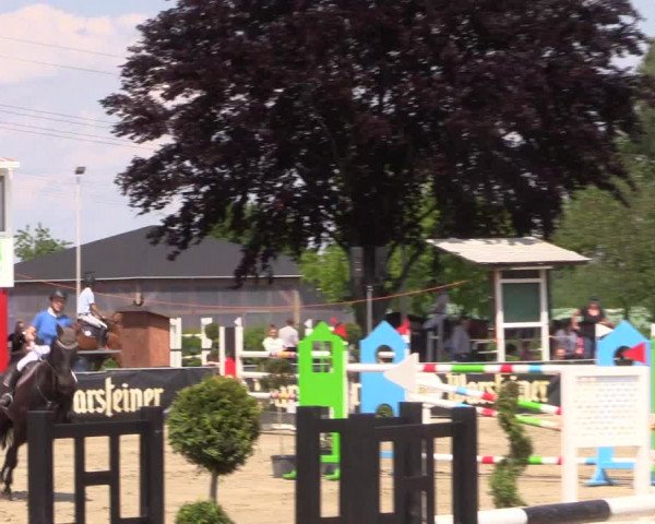 Reitturnier Dortmund-Asseln 2019