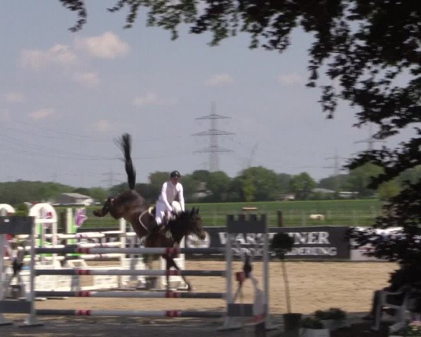 Reitturnier Dortmund-Asseln 2019