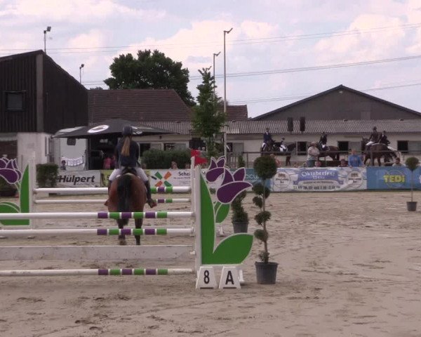 Reitturnier Dortmund-Asseln 2019