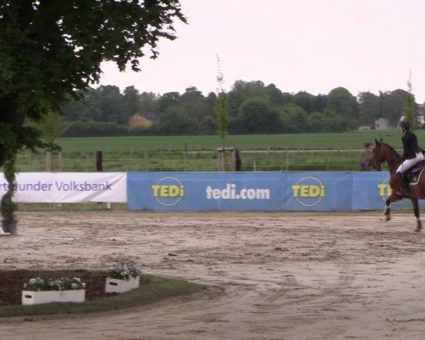 Reitturnier Dortmund-Asseln 2019