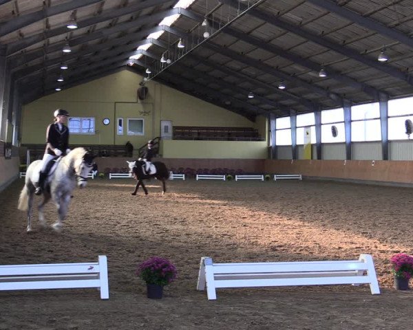 Reitturnier Frechen-Grefrath - Sonnenhof 2021