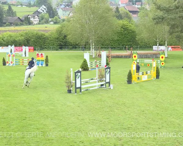 Reitturnier Elgg 2019