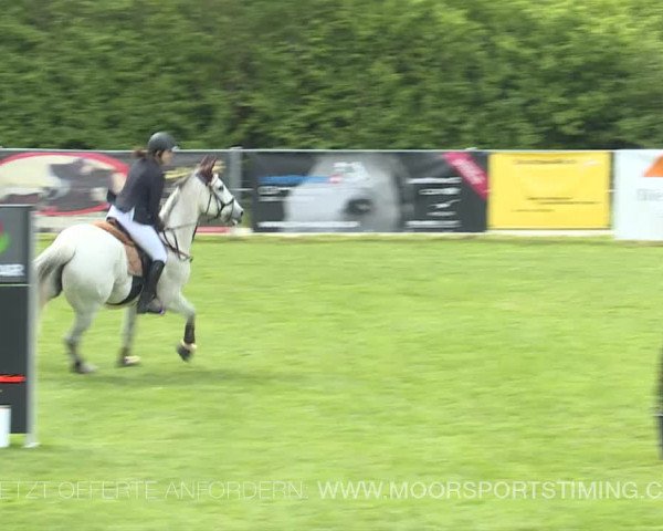 Reitturnier Elgg 2019